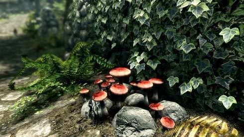 The Elder Scrolls 5: Skyrim Special Edition screenshot 6