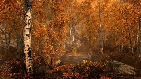 The Elder Scrolls 5: Skyrim Special Edition screenshot 3