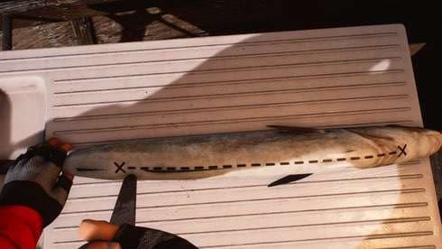 巴伦支海钓鱼 screenshot 4