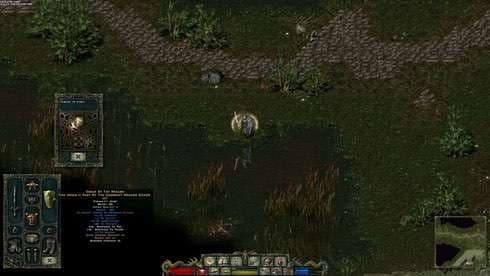 Divine Divinity screenshot 1