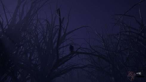 CENTRALIA screenshot 4