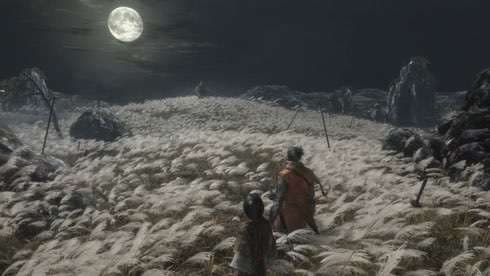 Sekiro: Shadows Die Twice screenshot 3