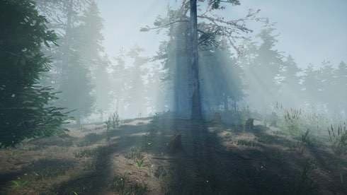 蘑菇采集模拟器 screenshot 1