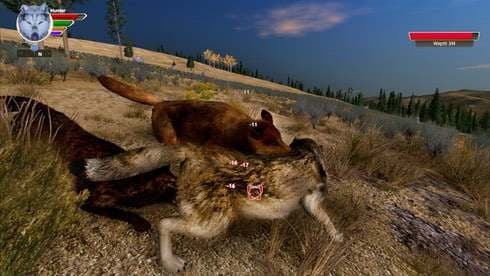 WolfQuest: Anniversary Edition screenshot 3