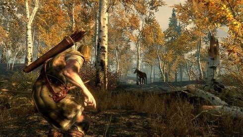 The Elder Scrolls 5: Skyrim screenshot 5