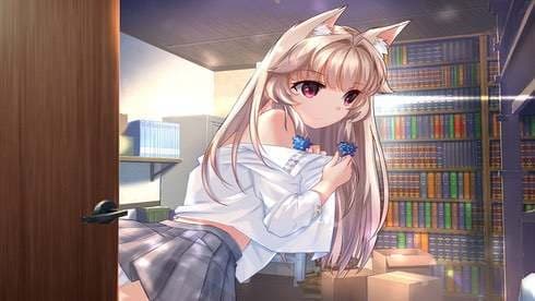Fox Hime screenshot 4