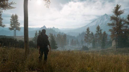 Days Gone screenshot 5