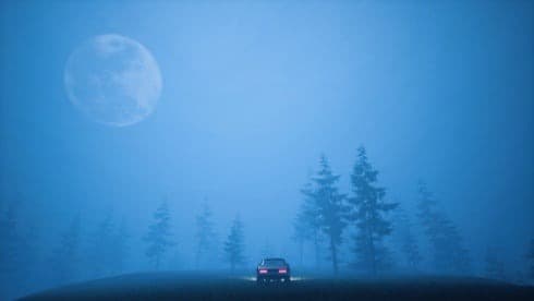 Welcome to PINEHILLS screenshot 6