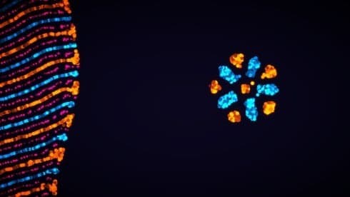 参数生命:实验室 screenshot 1