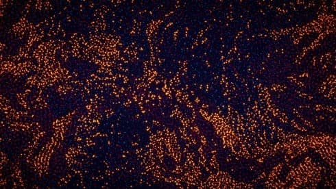 参数生命:实验室 screenshot 2