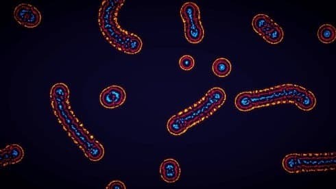 参数生命:实验室 screenshot 3