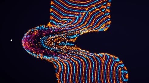 参数生命:实验室 screenshot 4