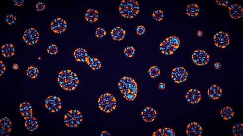 参数生命:实验室 screenshot 5