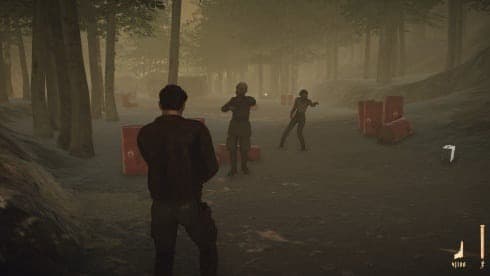 Valley of the Dead: MalnaZidos screenshot 3