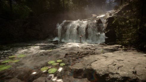 Sons of The Forest screenshot 1