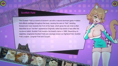 猫咪小姐3 screenshot 3