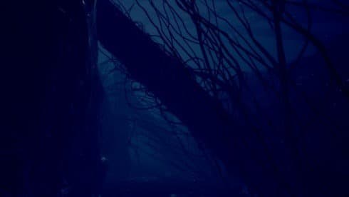 俯仰无声 screenshot 1