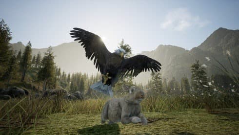 Wilderness screenshot 2