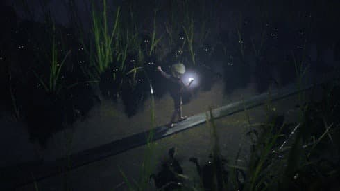 荆棘:群山之王 screenshot 2