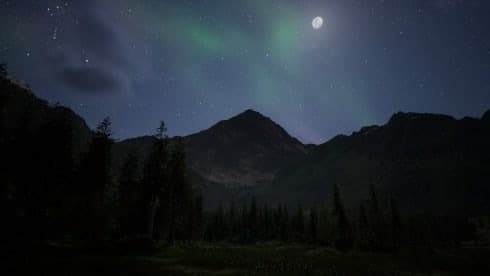 Wilderness screenshot 3