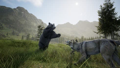 Wilderness screenshot 4