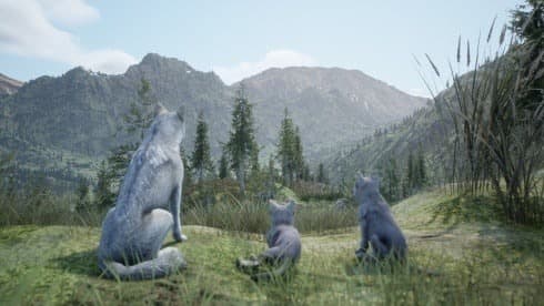 Wilderness screenshot 6