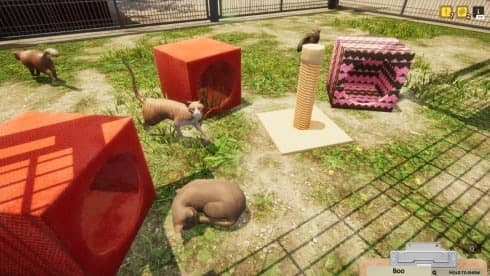 Animal Shelter screenshot 4