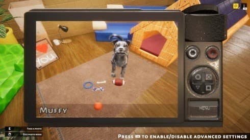 Animal Shelter screenshot 6