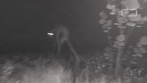 CONTORTED screenshot 2