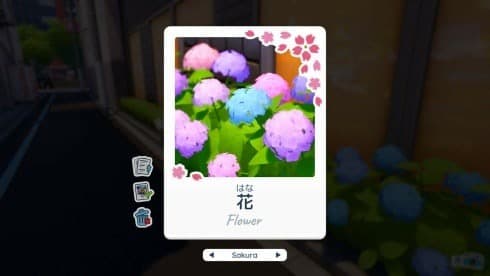 Shashingo: Learn Japanese with Photography screenshot 5