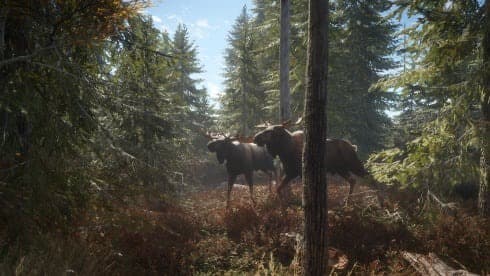 theHunter: Call of the Wild screenshot 1