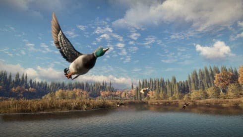 theHunter: Call of the Wild screenshot 4