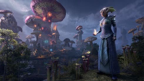 The Elder Scrolls Online | Лицензия screenshot 5