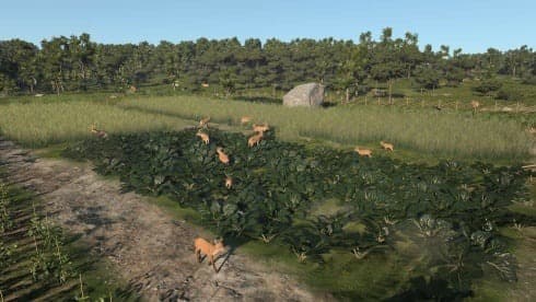 Ancient Cities screenshot 5