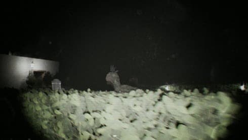 未知录像带 screenshot 4