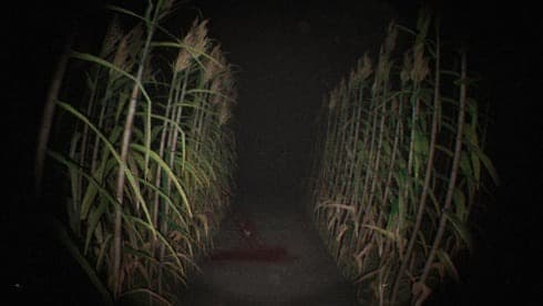 未知录像带 screenshot 1