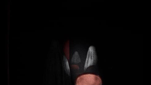 利莫里亚 screenshot 4