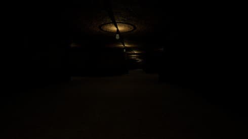 Forest - The Call For Help screenshot 2