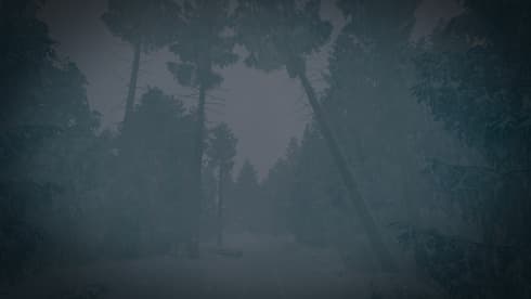 最后的滑雪之旅 screenshot 1