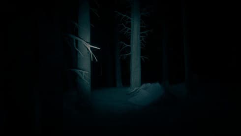 最后的滑雪之旅 screenshot 3