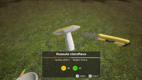 蘑菇猎人世界 screenshot 6