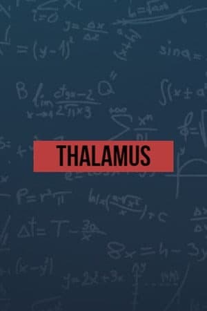 Thalamus